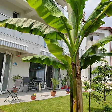 Casa Beyaz 3* Mangalia