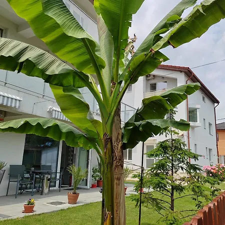 Casa Beyaz Pensjonat