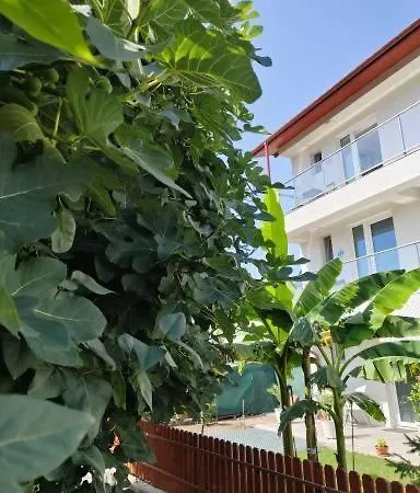 Guest house Casa Beyaz 3*