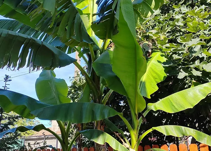 Casa Beyaz Casa de hóspedes 3*