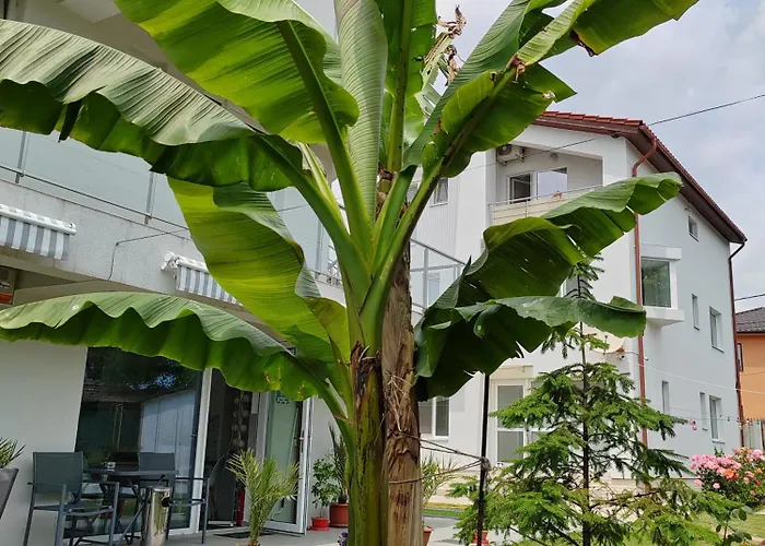 Casa Beyaz Casa de hóspedes